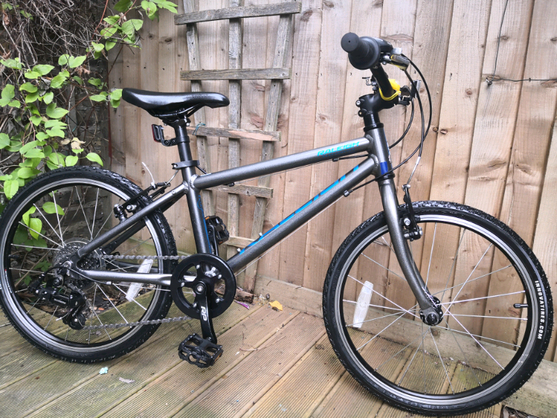 raleigh performance 20